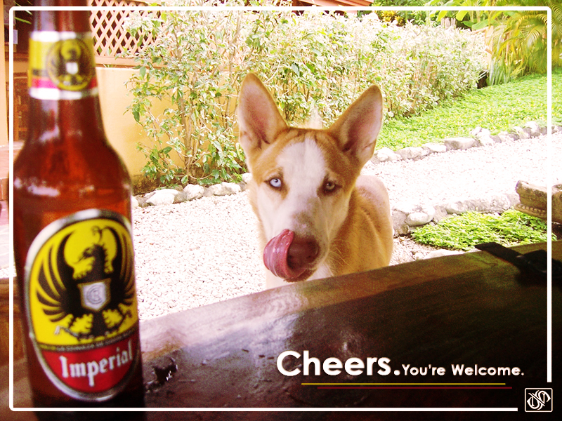 Cheers. You're Welcome.